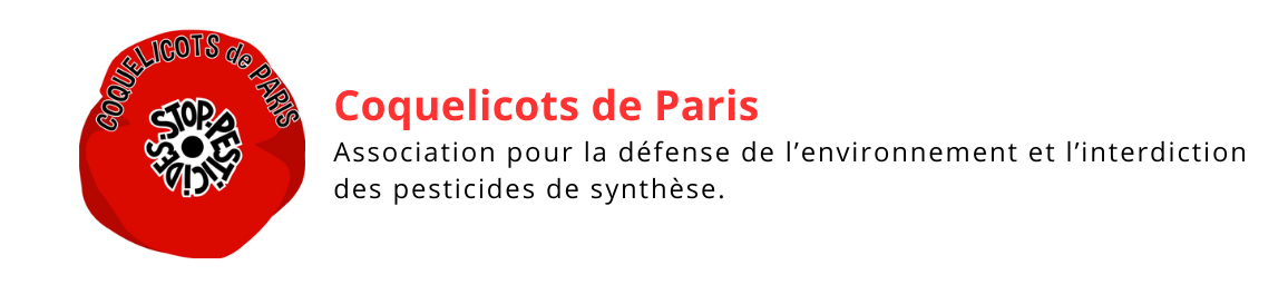 Coquelicots de Paris